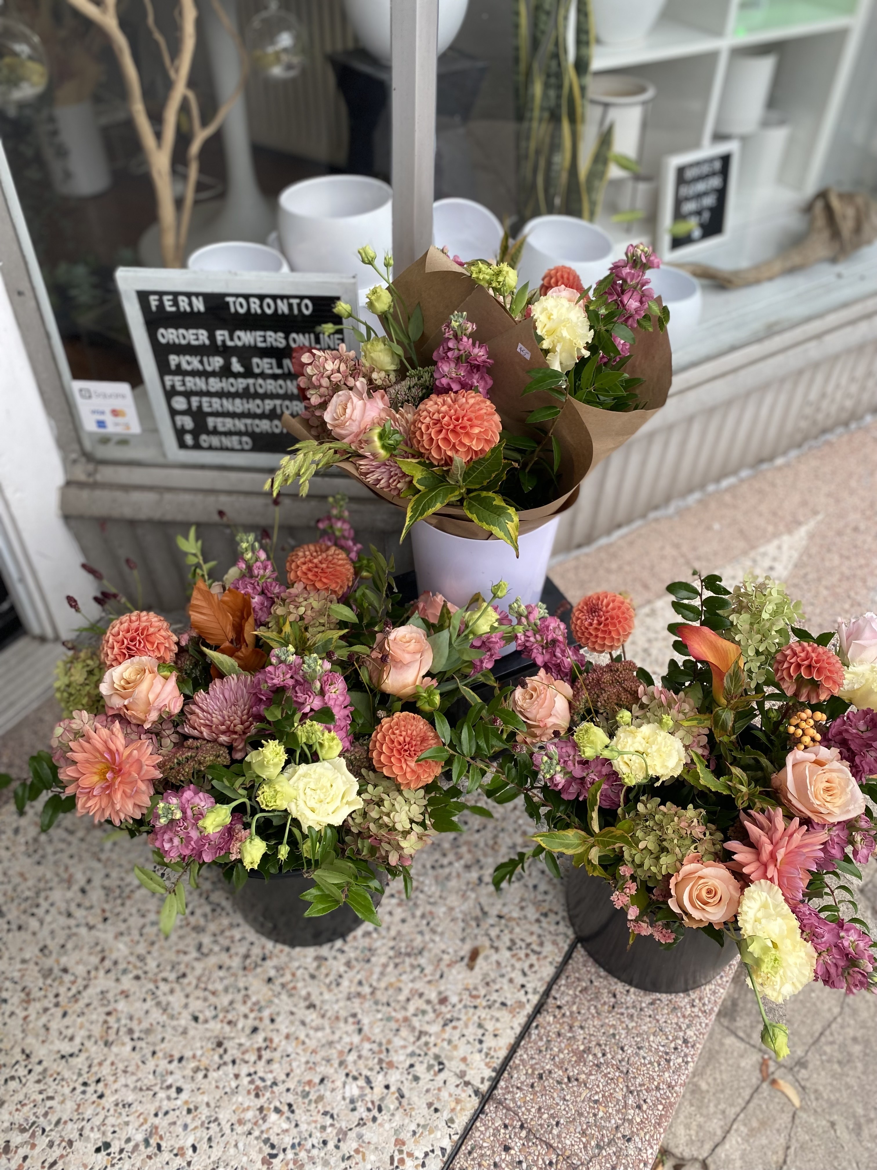 Haystack Store Spotlight: FERN TORONTO