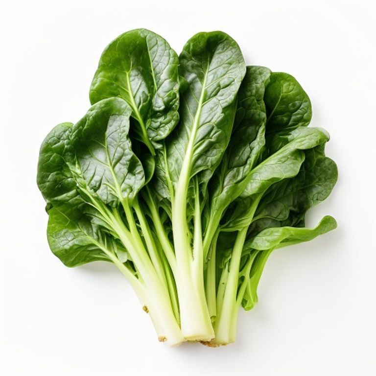 Swiss Chard