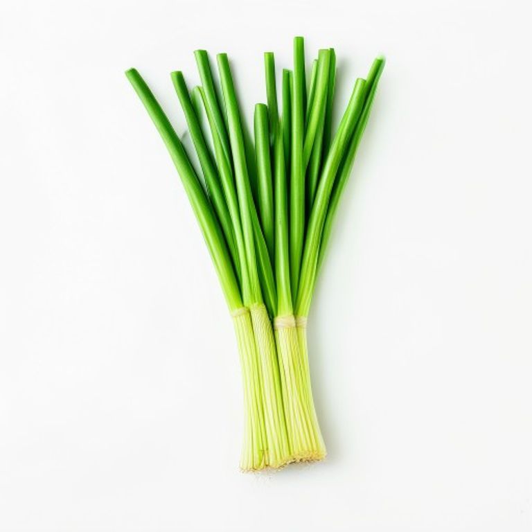 Green Onions / Scallions