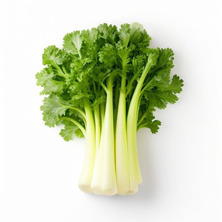 Celery